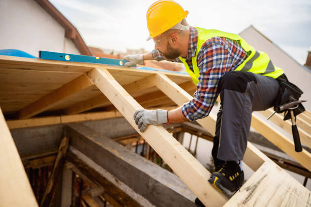 Best Roof Gutter Cleaning  in Lecanto, FL